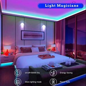 China Music Sync Voice Control LED Strip Lights Color Changing Timing App Controlled wholesale