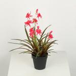 25 CM 48 CM Artificial Chlorophytum Comosum With Flower