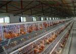 Q235 Hot Dipped Galvanized H Type Layer Chicken Cage For Farm
