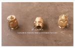 Drain Ball Valve BRASS Body NPT Cover Stainless Steel Float Ball DN32 DN40 Model