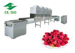Microwave Dryer Rose Flower Drying Machine Automatic 10 KW Efficient