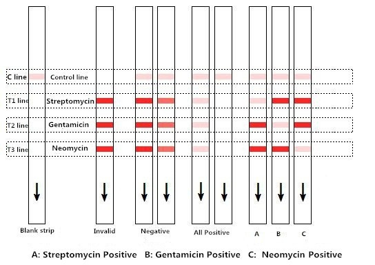 Ce Rapid Test Strip Streptomycin Gentamicin And Neomycin Combo For Milk