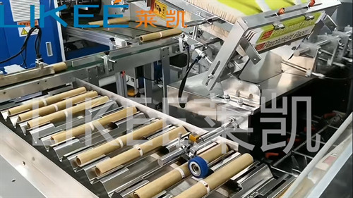 Automatic Cartoning Machine Carton Box Packing