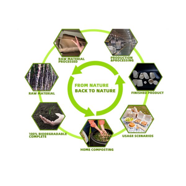 Compostable Sugarcane Bagasse Pulp Disposable Coffee Cup Lids