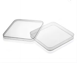 China Square Shape Plastic Petri Dish Uses In Laboratory With Vent wholesale