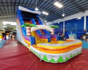 China Adult Outdoor Inflatable Water Slides Palm Tree Jumping Bouncy Castle wholesale
