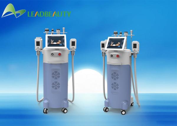 Cryolipolysis slimming machine/Cryolipolysis machine for home use/Cryolipolysis