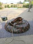 Military Emergency Storage Tarpaulin Water Tank Camo Color 5000L Volume Water