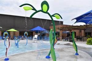 China Aqua Playground Splash Structure Stainless Steel Water Sprinkler Sea Turtle Spray wholesale