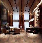 Acid Resistant Unglazed Porcelain Floor Tile 600x600 Mm 300x600 Mm Available