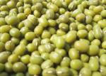 Mung Beans Natural Agricultural Products For Food