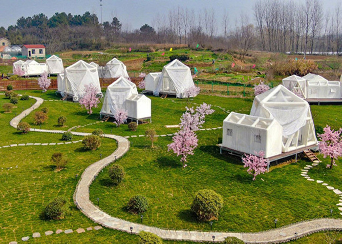 Outdoor Transparent Large Inflatable Bubble Camping Tent Single Tunnel Inflatable Bubble House Camping Globe Tent