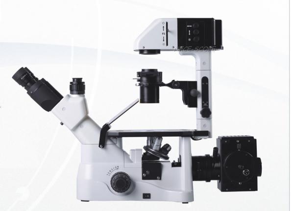 6V 30W Tissue Culture Laboratory Biological Microscope Halogen NCQ - 600 φ35mm