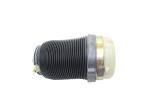Pair Rear Air Suspension Spring For 2005-2011 Audi Allroad Quattro A6 4F C6