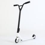 Complete Trick Stunt Scooter Beginner Freestyle Sports Stunt Scooter With Fixed