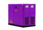 Permanent Magnet Screw Air Compressor-JNY-100A Strict Quality Control Innovative