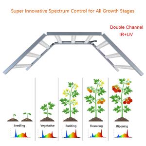 China 900W Electronic Horticultural LED Light Full Spectrum Grow Lights For Indoor Plants wholesale