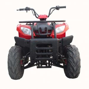 China Max. Power 7/7000 Gasoline ATV Quad Bike With Forced Air-Cooled Engine Type wholesale