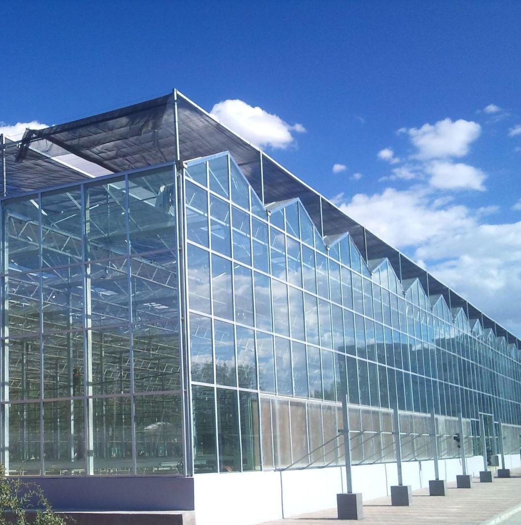 Venlo Hollow Double Layer Tempered Glass Greenhouse with Hydroponics Growing System