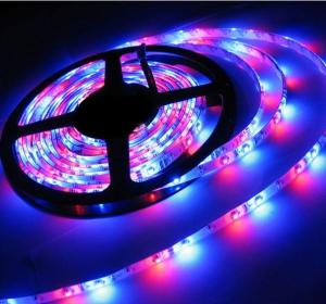 China led strip lights waterproof wholesale