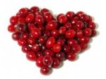 high quality cranberry fruit powder sample free for making juice