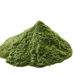 China OEM ODM Green Seaweed Extract Powder Plants Kelp Seaweed Extract For Lawns wholesale
