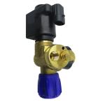 Solenoid CNG Cylinder Valve Car Gas Valve DC12V For Auto Gas Fuel System