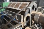 Wine Tray / Shoe Tray / Egg Tray Production Line Rotary Forming Type Compact