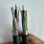 Hot Selling 12 Core GYTA GYTS Stranded Loose Tube Armored SingleMode MultiMode