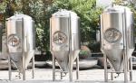 Fermenting Equipment Processing and stainless steel beer fermenter 50L 100L beer