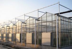 China Modernization Intelligent Greenhouse with Multi-Function wholesale
