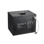 OEM ODM LiFePO4 lithium battery LiFePO4 Lithium Battery 24V 48V 51.2V 100Ah