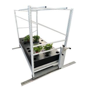 China Flowering Cloning Vertical Farming System Multi Tier Indoor Growing Rack wholesale