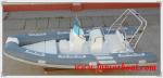 9 Person 1.2mm PVC Semi - FRP Inflatable RIB Boats With Sunshade