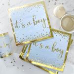 Blue And Gold Foil Biodegradable Plates Cups And Cutlery Napkins