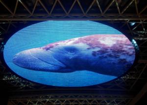 China Advertising Glass LED Transparent Screen Outdoor For Shopping Mall wholesale