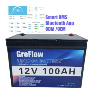 China OEM ODM Plastic Case 12 Volt LiFePo4 Battery 12v 200ah Smart BMS long Life wholesale