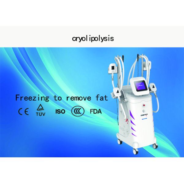 Vertical Cryolipolysis Slimming Machine , 4 - Handle Type Fat Reduction Equipment