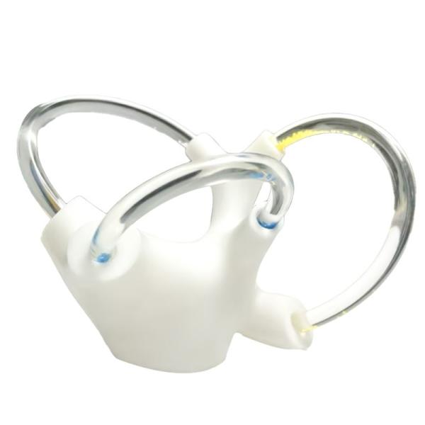 Tinnitus Vestibular Cochlea Inner Ear Cranial Nerve Rehabilitation Anatomical