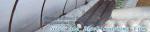 Perforated silver black mulch film for crop production,vegetable garden black /