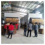 22.00KW Fully Automatic Wood Veneer Dryer for 8000 KG Multi-Layer Drying