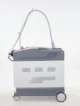 Hair Removal Long Pulsed Nd Yag Laser Stationary Style With Ce Approved