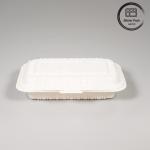 600ml Biodegradable Disposable Food Containers Eco-Friendly Lunch Box With Lid