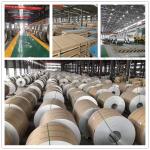 Mid Hard Q195/Q235/Q235b Grade 0.4mm 0.5mm 0.6mm 1.2mm Thickness Mirror