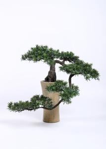 China H125cm Bonsai Pine Tree Curved Branch Stunning Wonderfully Crafted Without Pot wholesale