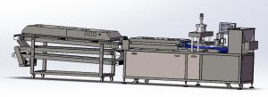 China Automatic Two Extruders Tortilla Production Line Spring Roll Taco Making wholesale