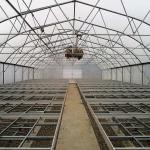 Side Ventilation Hot Galvanized Steel Pipe Tunnel Single Span Greenhouse