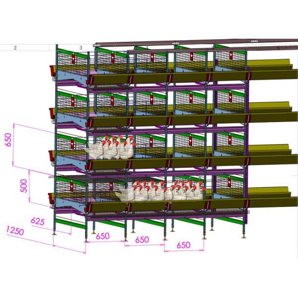 Galvanized Layer Chicken Cages Automatic H Type Poultry For Farming