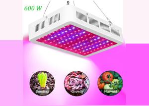 China 31cm 7200lm Full Spectrum LED Grow Lights 600 Watt Red Blue White UV wholesale
