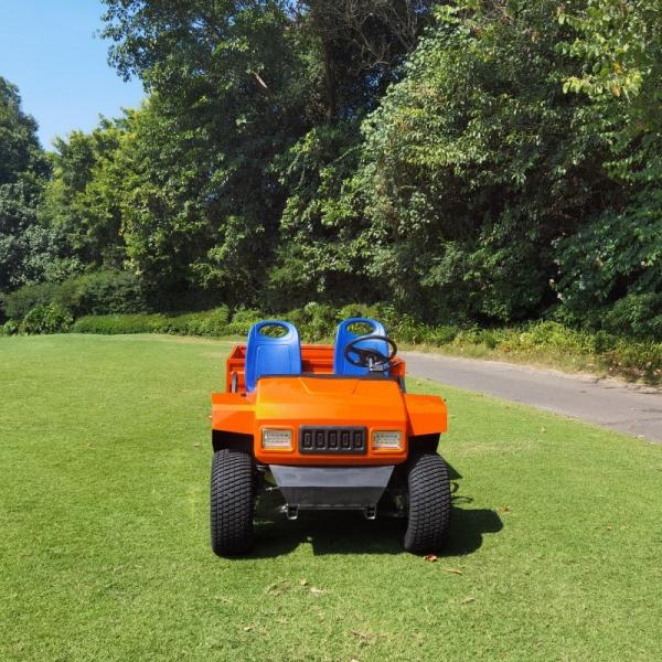 Excar New Design Model Electric Mini Buggy Car Ulitity Tool Car Housekeeping Car
